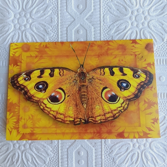 Butterly Stationery Cards 8 ct - Picture 6 of 16